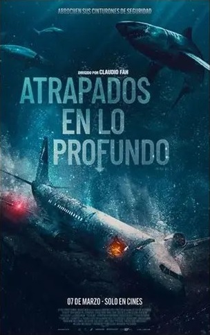 m11 - copia (4).webp